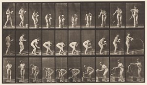 Tallerken 440. Bøye- og skylleglass av Eadweard Muybridge