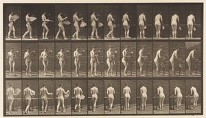 Tallerken 441. Bær vase og plasser den på bordet, 1872-1885 av Eadweard Muybridge