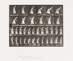 Plate 456. Rangeringen er 165 av Eadweard Muybridge