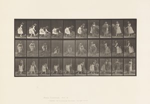Tallerken 458. Løfter håndfuller høy, snur, kaster det ned av Eadweard Muybridge