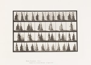 Plate 45. Walking Two Models Meeting, and Partly Turning av Eadweard Muybridge