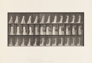 Tallerken 462. Heller drikkoffer på bakken, drikker fra beger, 1885 av Eadweard Muybridge