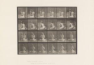 Plate 466. To modeller, Child 70N, bringer bukett til 12, 1885 av Eadweard Muybridge