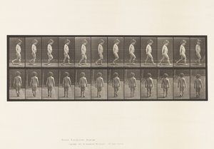 Plate 467. Barn, gående, 1885 av Eadweard Muybridge