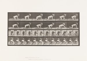 Plate 471. Barn, krypende på hender og knær, 1885 av Eadweard Muybridge