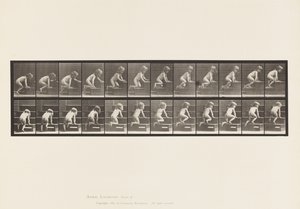 Plate 472. Child, Crawling Upstairs, 1885 (kollotype på papir) av Eadweard Muybridge