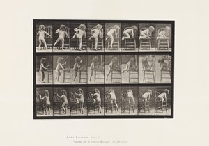 Tallerken 475. Barn, reiser seg på stol av Eadweard Muybridge