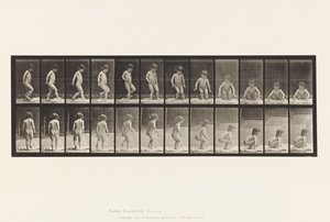 Tallerken 476.Barn, sitter på bakken av Eadweard Muybridge