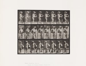 Tallerken 478. Barn, dryss vann over noen blomster, 1885 av Eadweard Muybridge