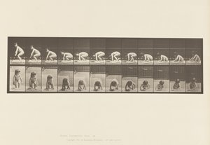 Plate 479. Barn, reiser seg fra bakken av Eadweard Muybridge