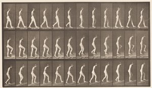 Plate 482. A, Gående; B, stigende trapper; C, Ascending Incline, 1872-1885 av Eadweard Muybridge