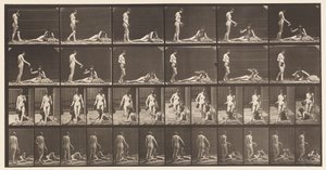 Plate 485. To modeller; A, 10 Stå og fylle en beger;, 1872-1885 av Eadweard Muybridge