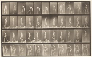 Plate 486. A, Plentennis; B, Bestigning et trinn;, 1872-1885 av Eadweard Muybridge