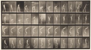 Plate 488. A, Plentennis; B, Dumb Bells; C, Walking on hands;, 1872-1885 av Eadweard Muybridge