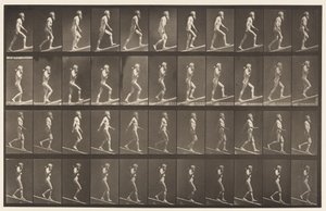 Plate 489. A, Stigende skråning;, 1872-1885 av Eadweard Muybridge
