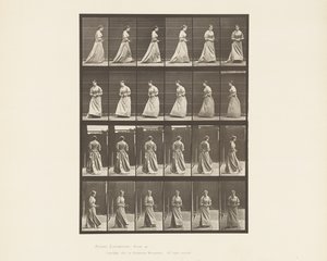 Tallerken 48. Bukett for gå og snu seg i begge hender, 1885 av Eadweard Muybridge