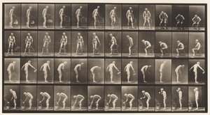 Plate 490. A, Sittende; B, sitte ned; C, Drenking Vann av Eadweard Muybridge