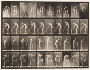 Plate 491. A, Hamring ved ambolt; B, hamring på ambolt av Eadweard Muybridge
