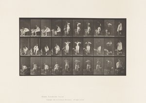 Plate 494. Diverse faser av toalettet av Eadweard Muybridge
