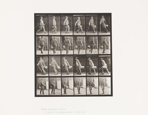 Plate 49. Gå og snu seg raskt av Eadweard Muybridge