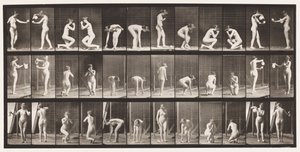 Tallerken 501. Diverse, bøyd, knelende o.l. av Eadweard Muybridge