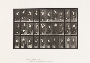 Plate 504. Opp- og nedstigende trapper av Eadweard Muybridge