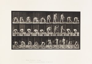 Plate 506. Muring av Eadweard Muybridge
