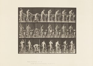 Plate 507. Snekkerarbeid av Eadweard Muybridge