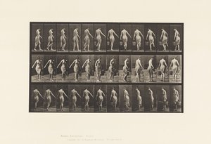 Tallerken 50. Går, bærer en bøtte av Eadweard Muybridge