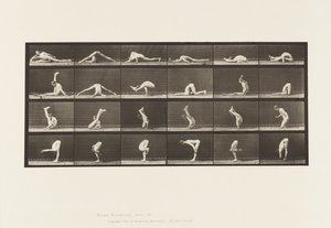 Plate 510. Forvridninger på bakken, 1872-1885 av Eadweard Muybridge