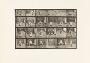 Plate 511. Vridninger på bakken av Eadweard Muybridge