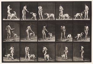 Tallerken 514. Mate en hund