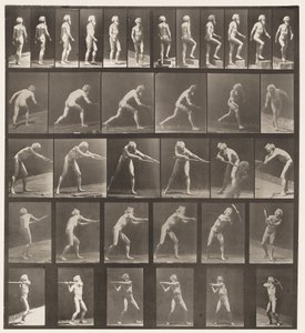 Plate 521. A, Gående; B, stigende trinn; C, Kaste disk av Eadweard Muybridge