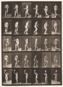Plate 525. A, synkende trinn; B, Stigende trinn;, 1872-1885 av Eadweard Muybridge