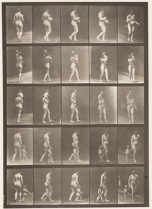 Plate 528. A,B,C av Eadweard Muybridge