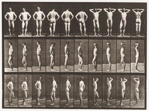 Tallerken 530. Ulike stillinger av Eadweard Muybridge