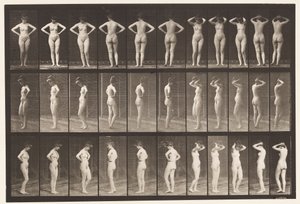 Tallerken 531. Diverse stillinger av Eadweard Muybridge