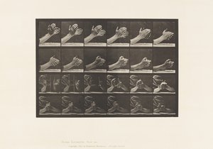 Plate 533. Bevegelse av hånden; Klapper hender, 1885 av Eadweard Muybridge