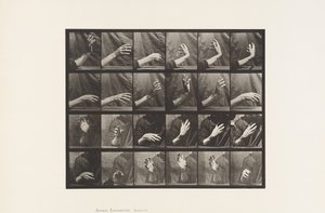 Plate 535. Bevegelse av hånden; Beating Time, 1885