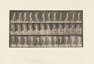 Plate 537. Enkel amputasjon av ben; Hopping med krykker av Eadweard Muybridge