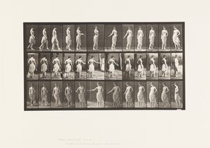 Plate 53. Gå, spre blomster og snuhandling av Eadweard Muybridge
