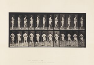 Plate 542. Multippel Cerebro-Spinal Sklerose - Gående av Eadweard Muybridge