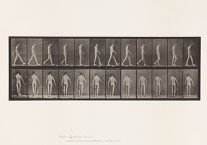 Plate 546.Locomotor Ataxia; Gående, 1885 av Eadweard Muybridge