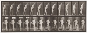 Plate 547.Hemiplegi; Walking with Crutch, 1885 av Eadweard Muybridge