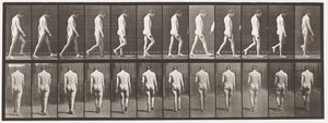 Plate 549.Epilepsi; Gående, 1885 av Eadweard Muybridge