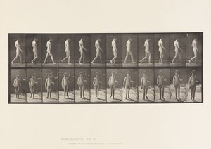 Plate 551.Epilepsi; Gående, 1885 av Eadweard Muybridge