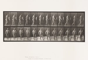 Plate 552.Hemiplegi; Walking with Cane, 1885 av Eadweard Muybridge