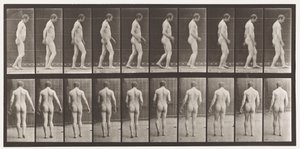 Plate 553.Etter Traumatism of Head; Gående, 1885 av Eadweard Muybridge