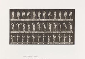 Plate 557.Local Chorea; A, B, C, mens du står, 1885 av Eadweard Muybridge