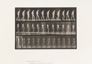 Plate 559. Disseminert sklerose; Går med Cane av Eadweard Muybridge